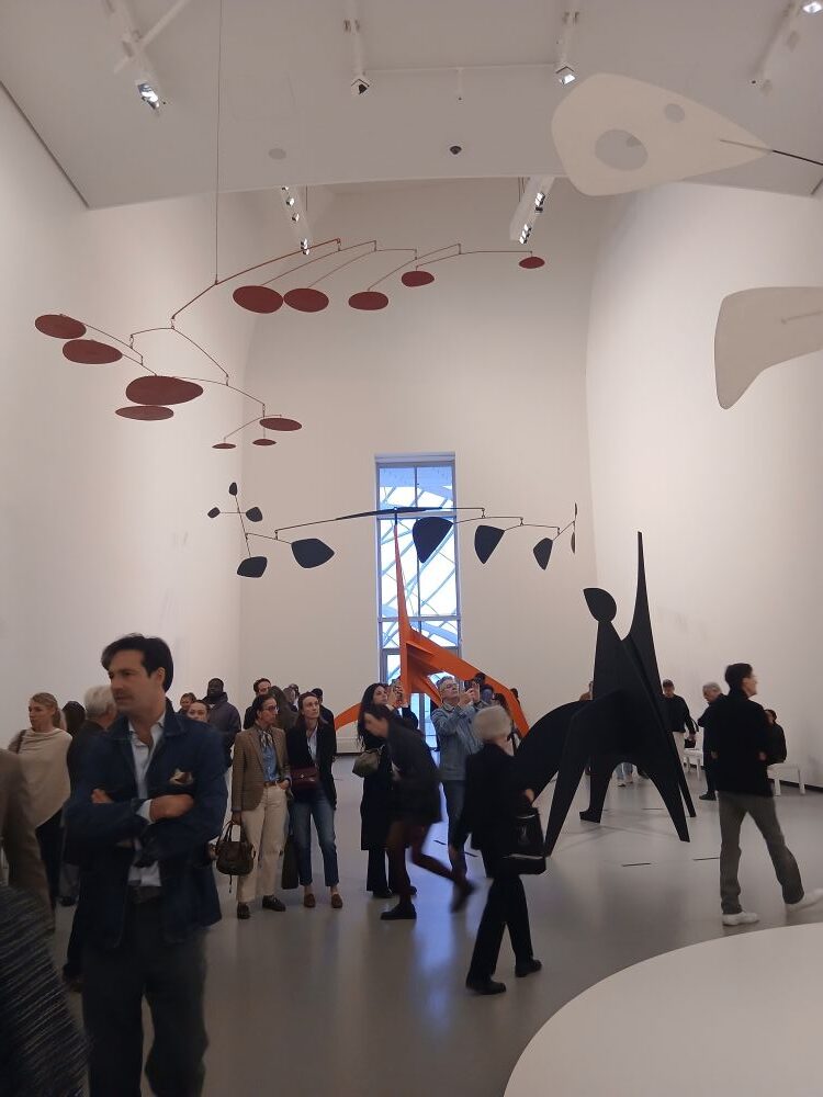 accueil culturel fondation louis vuitton (1)