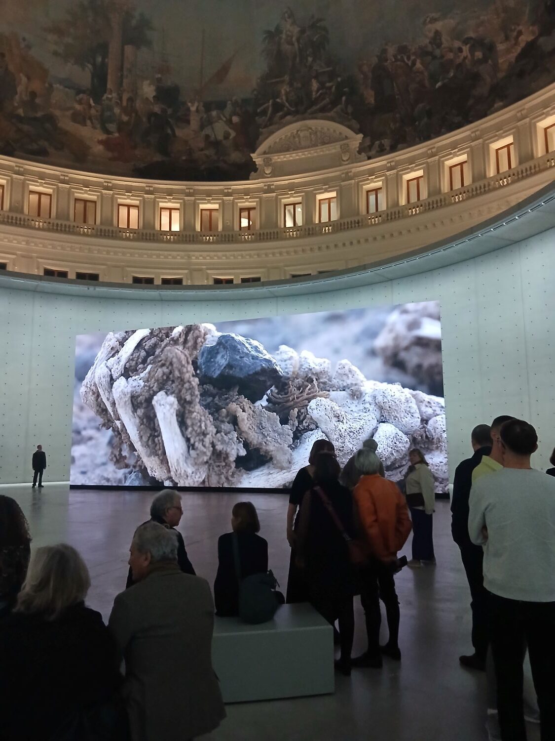 bourse de commerce médiation culturel (2)